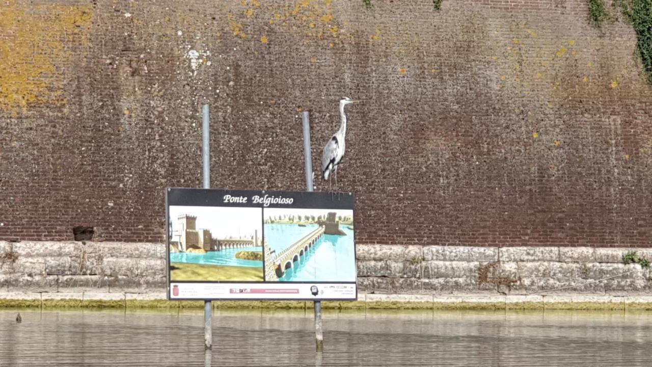 Casa Vacanza & Suite Joy Peschiera del Garda Bagian luar foto